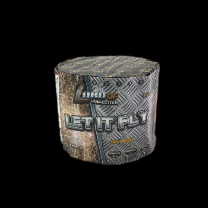 Picture of „Let It Fly“