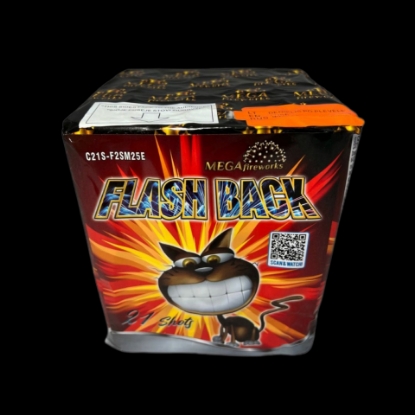 Picture of „Flash Back“