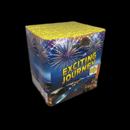 Picture of "Exciting Journey"
