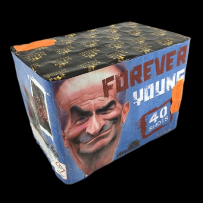 Picture of Forever Young