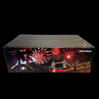 Picture of Mister Wild