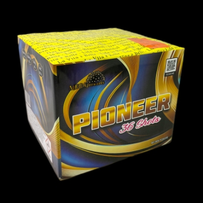 Picture of Pioneer